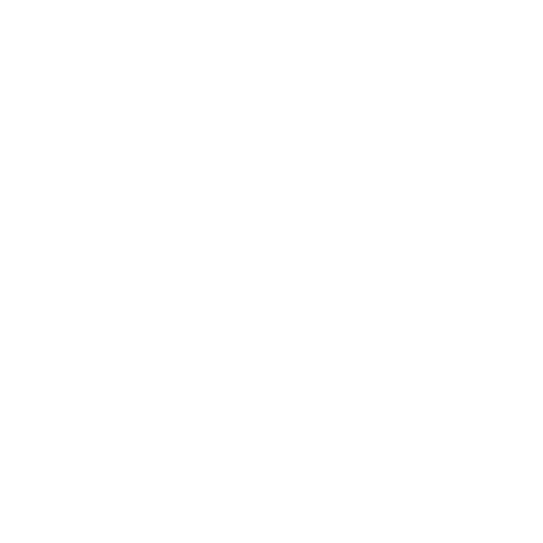 megaphone icon